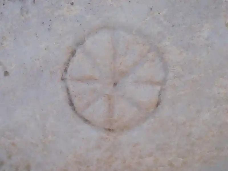 Solar cross on what appears to be a marble stone, located in the ruins of the Curetes Street, Ephesus Izmir